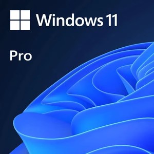 Win 11 Pro 64-Bit OEM DVD